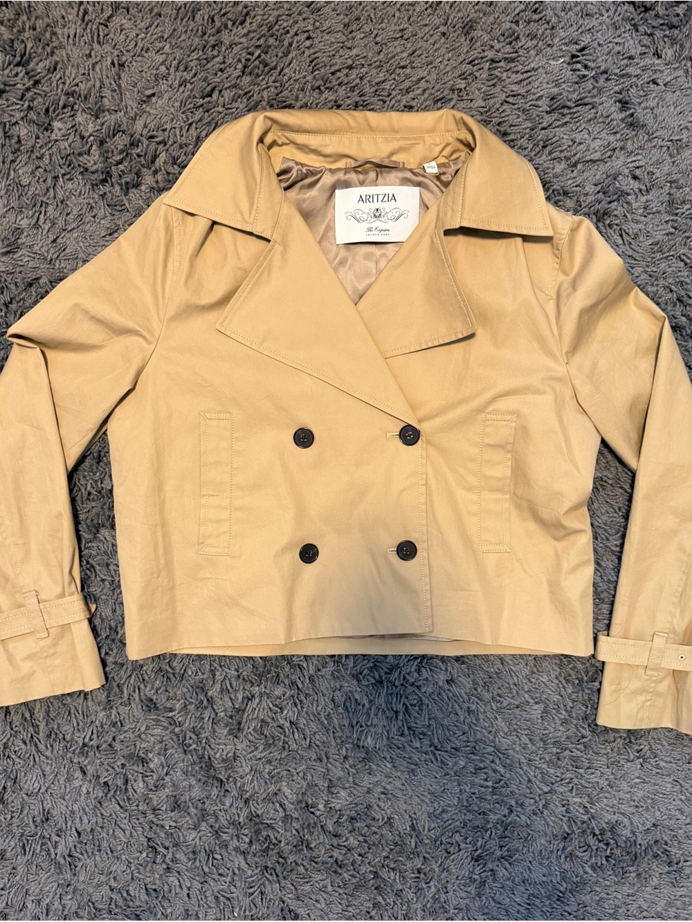 ARITZIA esquire coat